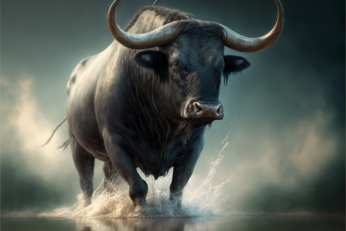 Taurus the bull stomping through a pool of water